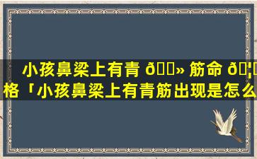 小孩鼻梁上有青 🌻 筋命 🦄 格「小孩鼻梁上有青筋出现是怎么回事呢」